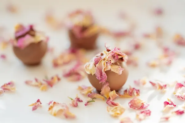 JokerBet Casino Android/iOS Aplikácia